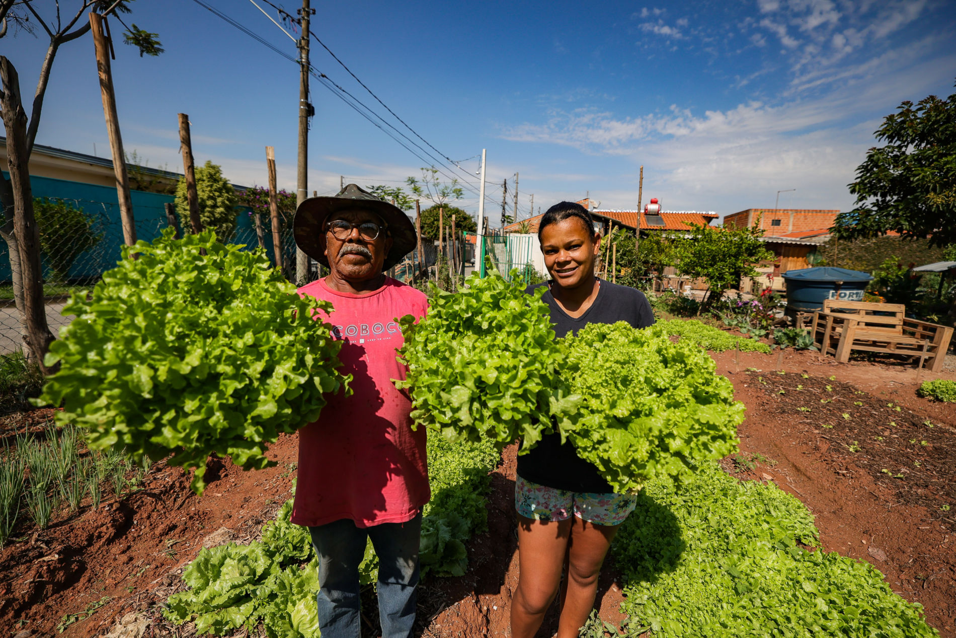 Hortas Urbanas do Jardim Novo Horizonte transformam áreas ociosas e promovem saúde e renda