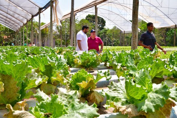 Prefeitura de Cuiab | Propriedades do programa Agro da Gente recebem visita dos tcnicos da BID Pantanal para avaliarem a possibilidade de receber recursos do Governo Federal