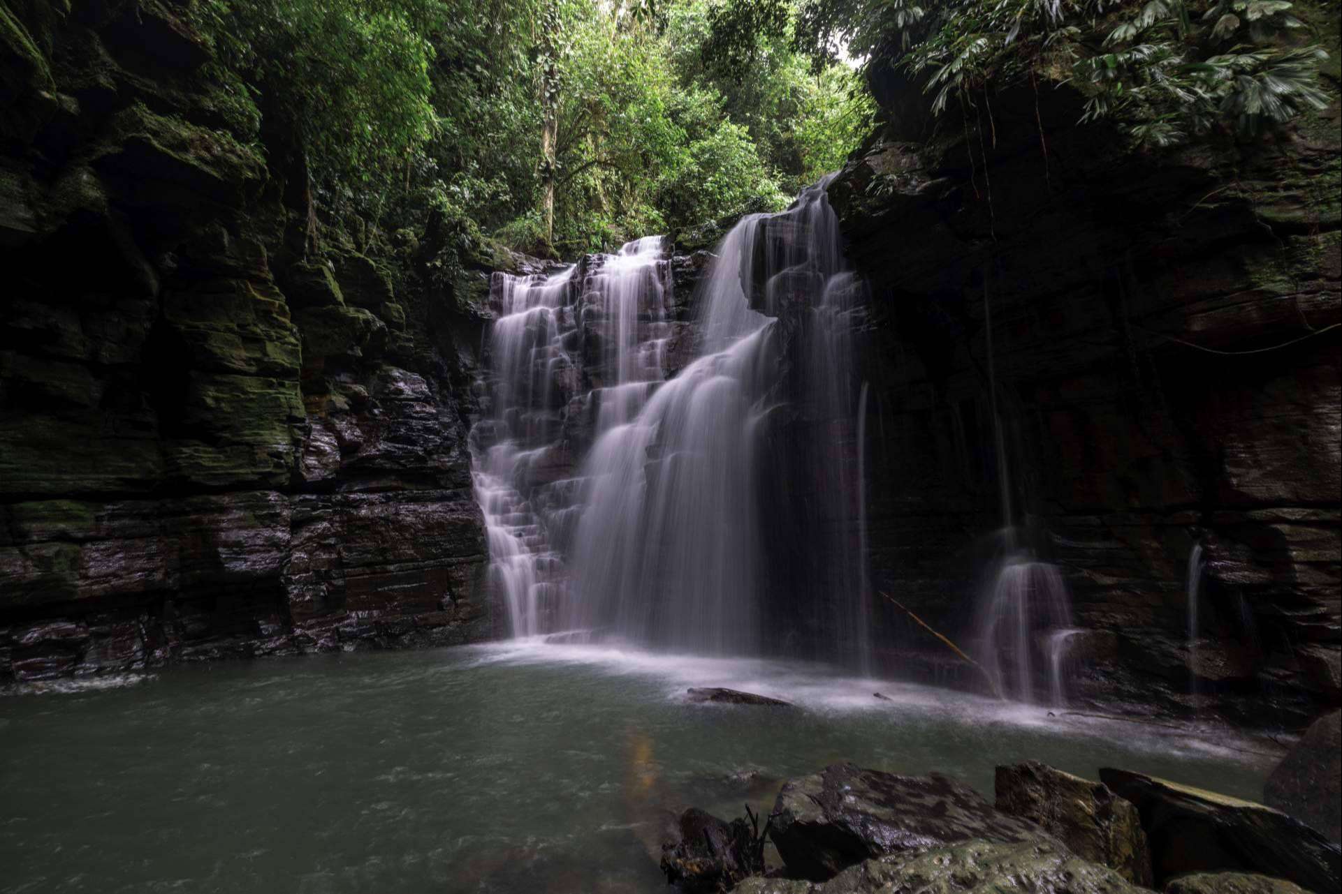 Hamadryade Lodge organiza actividades para explorar el Amazonia