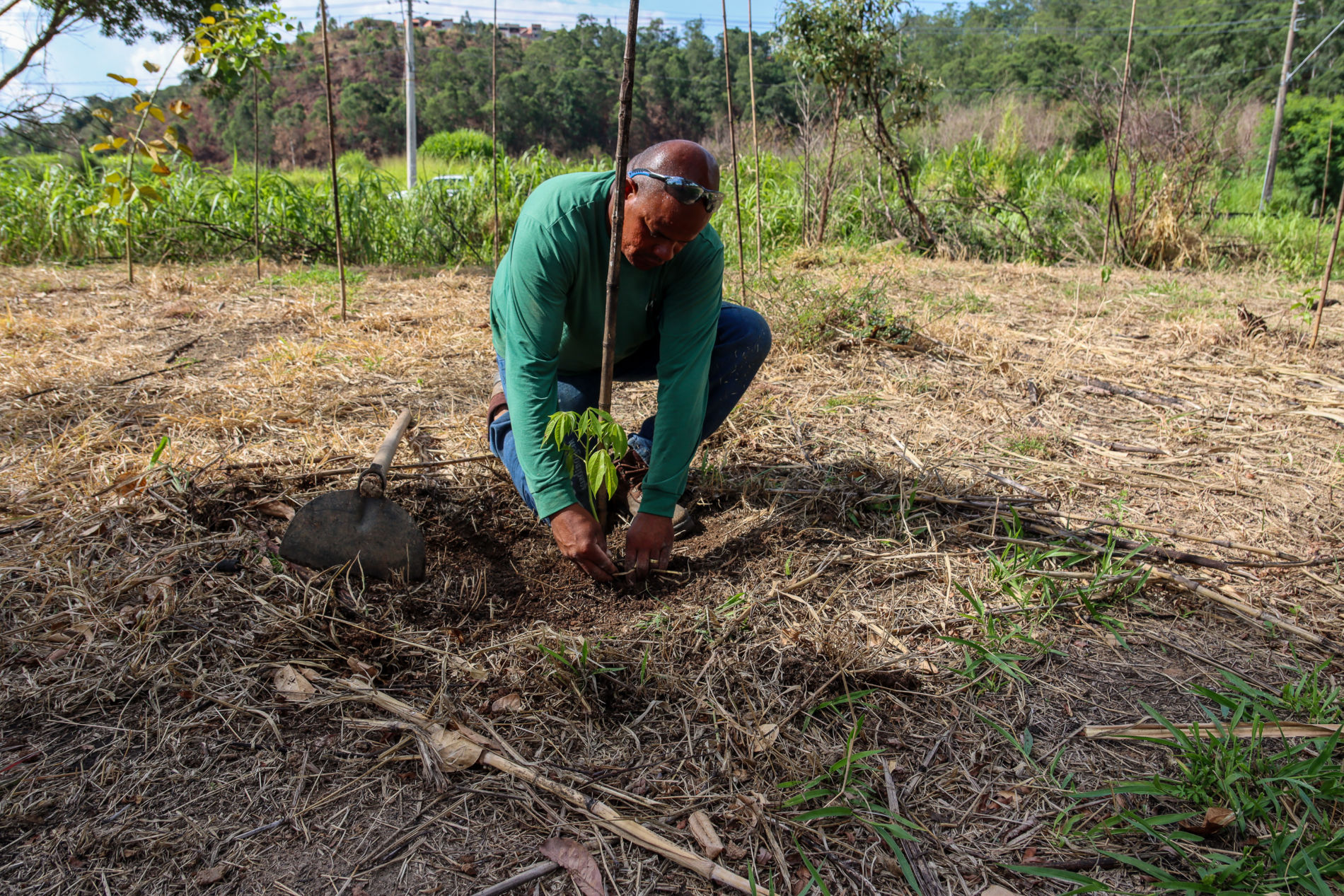 Prefeitura inicia plantio de 6,6 mil árvores às margens do Rio Jundiaí