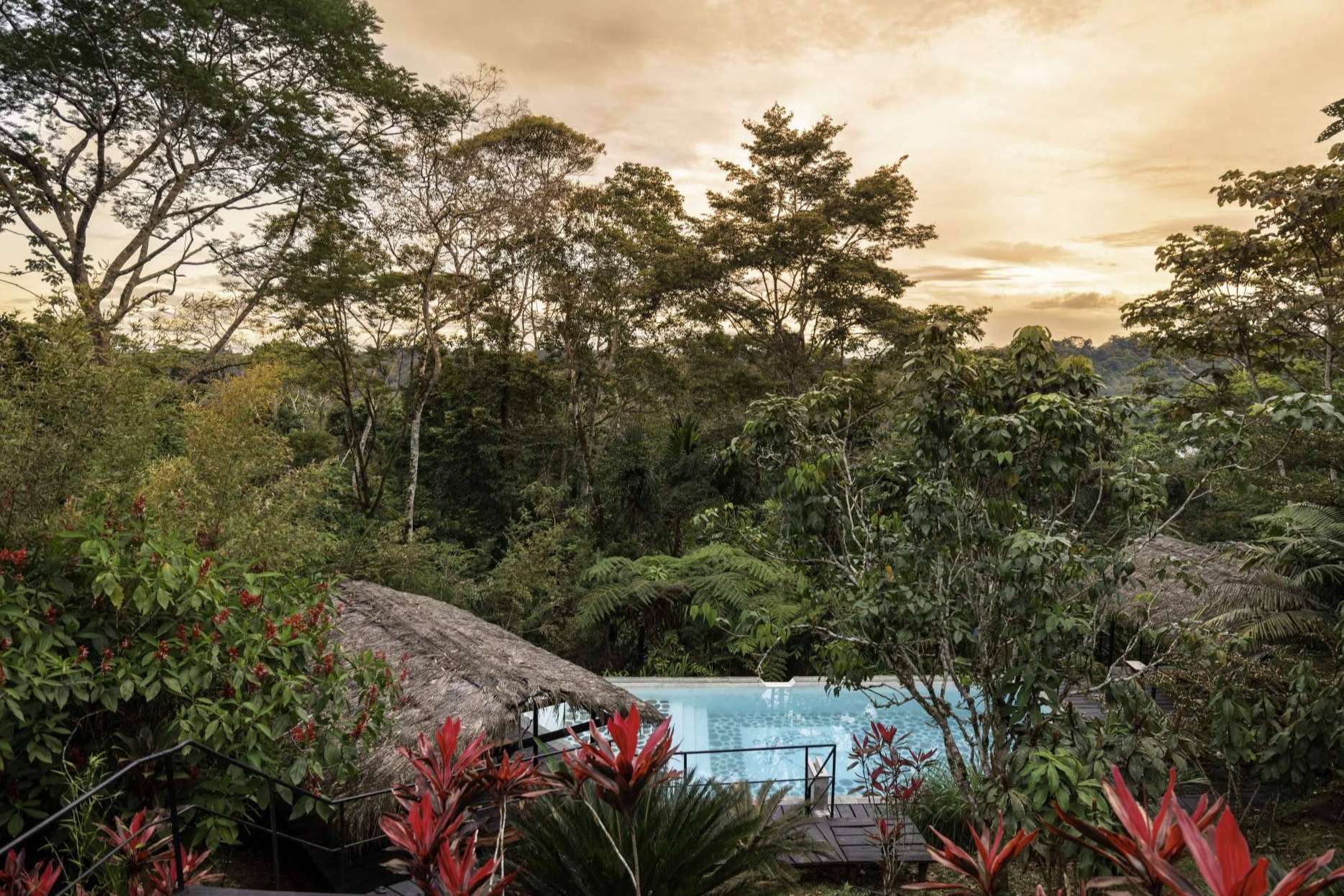 Vivir la Amazonía ecuatoriana de forma especial con las suites bungalows de Hamadryade Lodge