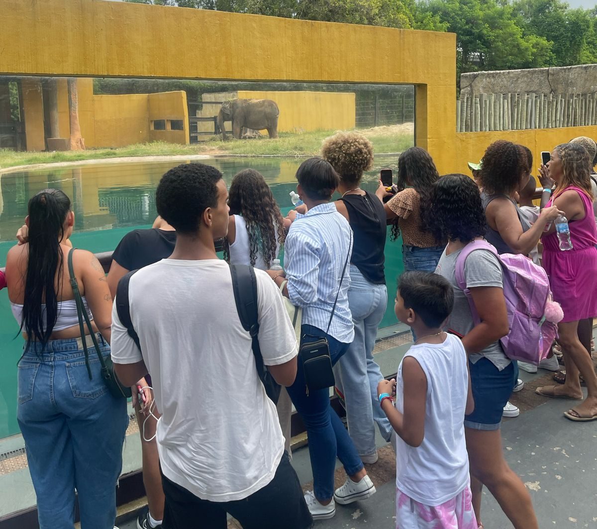 Turistando com a Comunidade: Prefeitura do Rio leva moradores da comunidade do Cesarão ao BioParque - Prefeitura da Cidade do Rio de Janeiro
